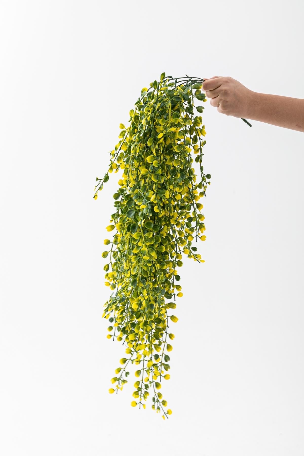 Yapay Japon Şimşir Sarkan 80 Cm 5 Dal Yeşil  Sarı