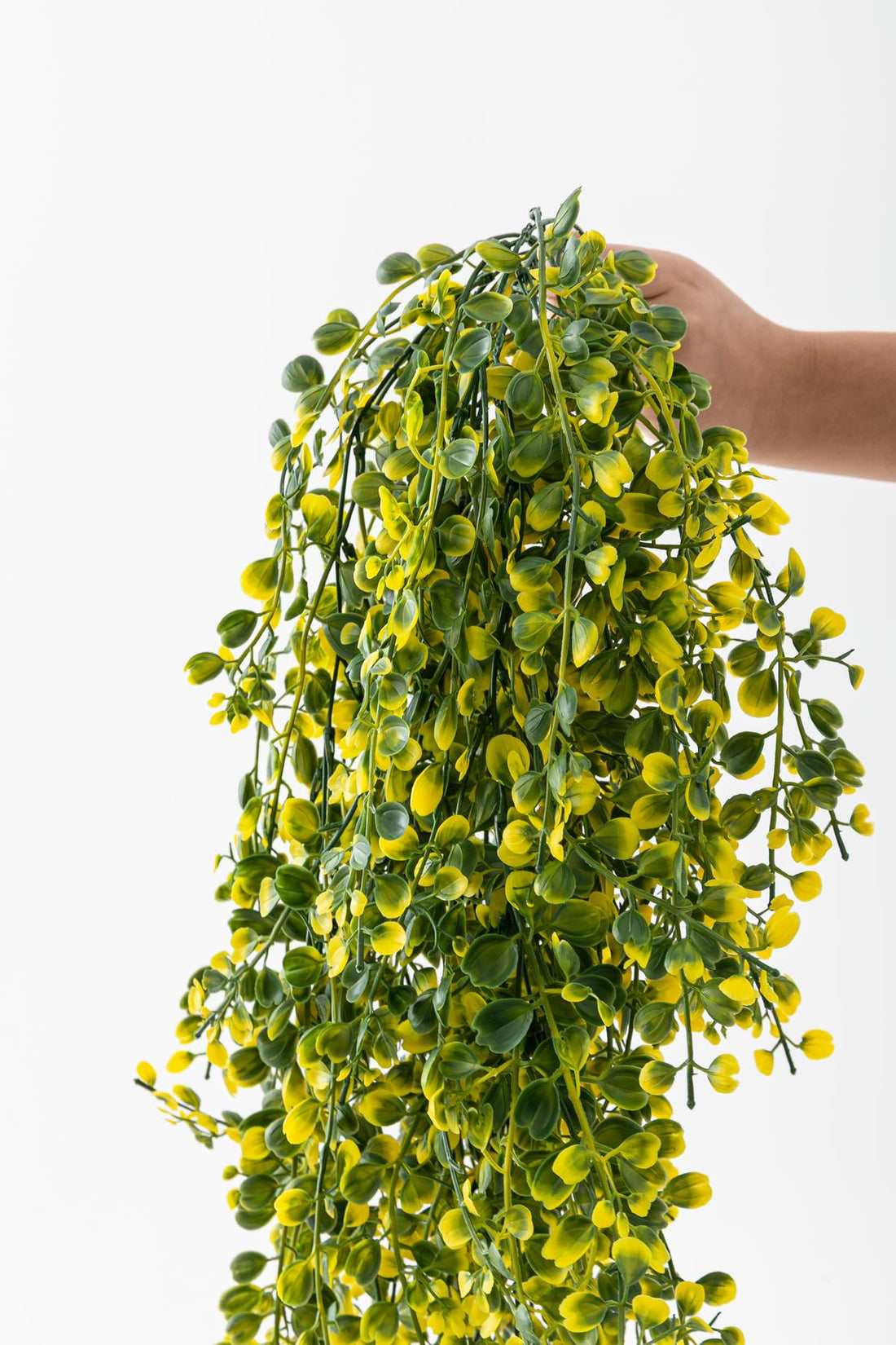 Yapay Japon Şimşir Sarkan 80 Cm 5 Dal Yeşil  Sarı