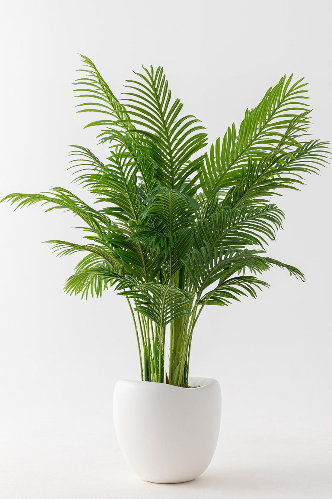 Yapay Jumbo Areka 220 Cm 32 Dal