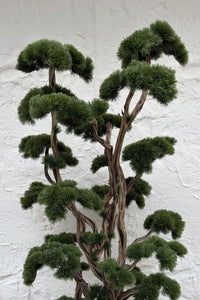 Yapay Jumbo Bonsai Ağacı 200 cm 50 Dal