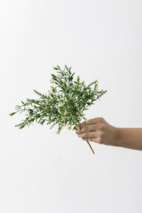 Yapay Kabak Çiçeği Demeti Yeşil Beyaz 30 Cm 5 Dal