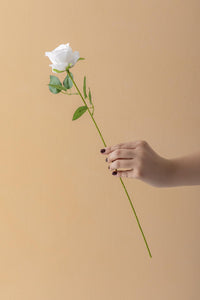 Yapay Kadife Gül Kırmızı 50 Cm