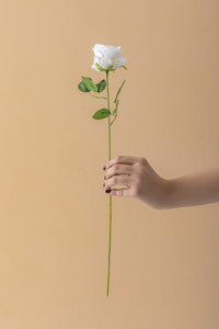 Yapay Kadife Gül Tek Dal Beyaz 50 Cm