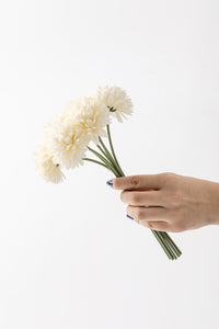 Yapay Kasımpatı Çiçeği Krem 25 Cm 7 Dal