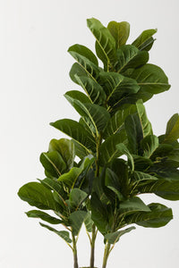 Yapay Kauçuk Ağacı 120 Cm