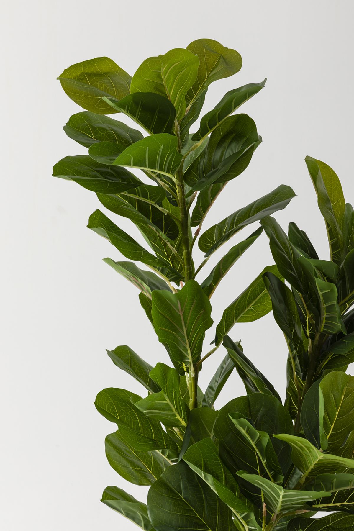 Yapay Kauçuk Ağacı 140 Cm