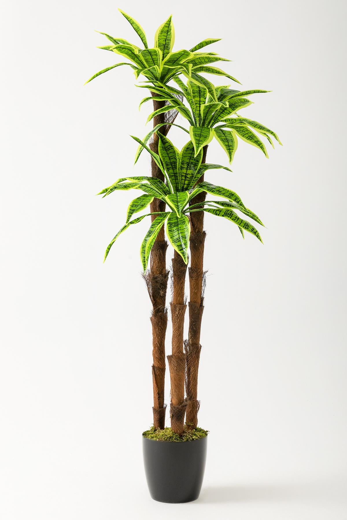 Yapay Kılıç Ağacı 150 Cm 54 Dal Agleonema