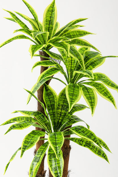 Yapay Kılıç Ağacı 150 Cm 54 Dal Agleonema