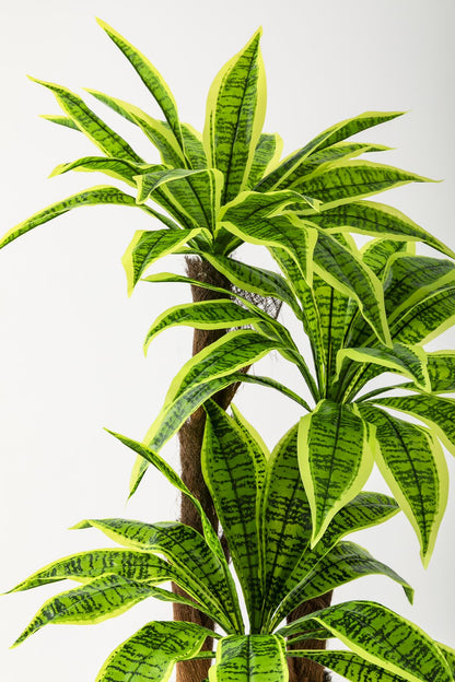 Yapay Kılıç Ağacı 150 Cm 54 Dal Agleonema