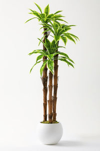 Yapay Kılıç Ağacı 150 Cm 54 Dal Agleonema Plastik Küre Saksı