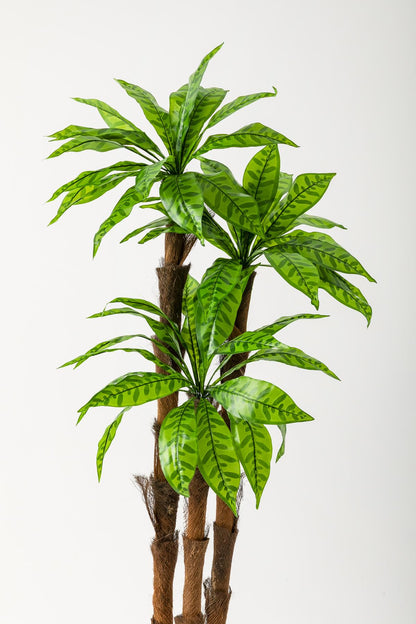 Yapay Kılıç Ağacı 150 Cm 54 Dal Alacalı Yeşil