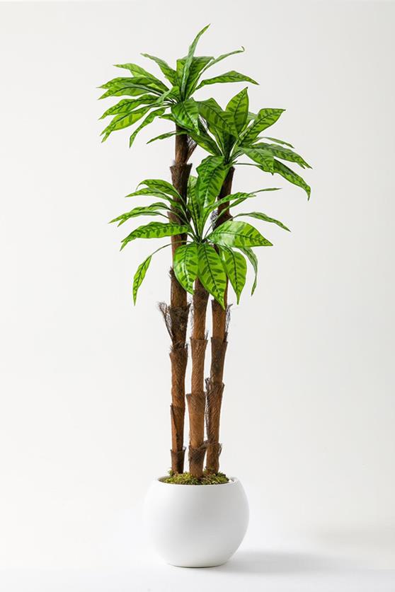 Yapay Kılıç Ağacı 150 Cm 54 Dal Alacalı Yeşil  Plastik Küre Saksı