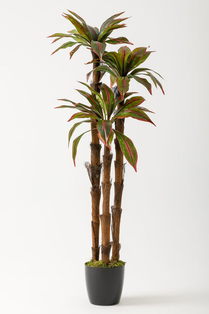 Yapay Kılıç Ağacı 150 Cm 54 Dal Kırmızı Yeşil