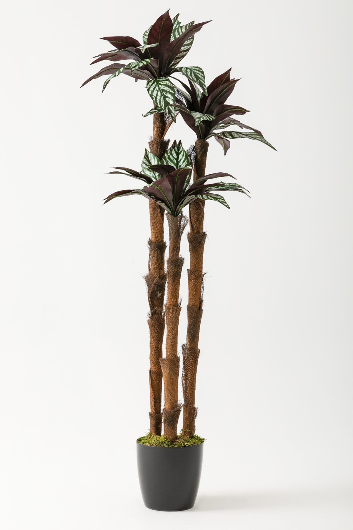 Yapay Kılıç Ağacı 150 Cm 54 Dal Mürdüm Beyaz