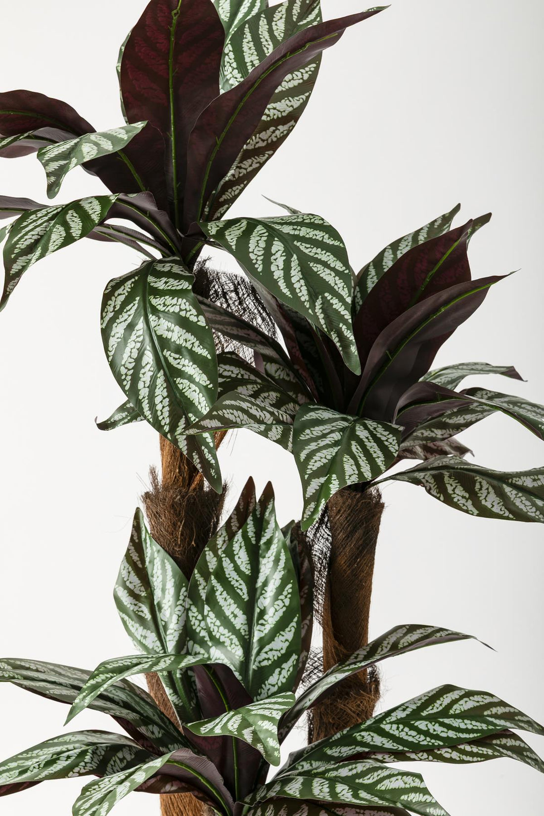 Yapay Kılıç Ağacı 150 Cm 54 Dal Mürdüm Beyaz