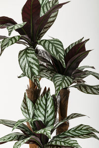 Yapay Kılıç Ağacı 150 Cm 54 Dal Mürdüm Beyaz