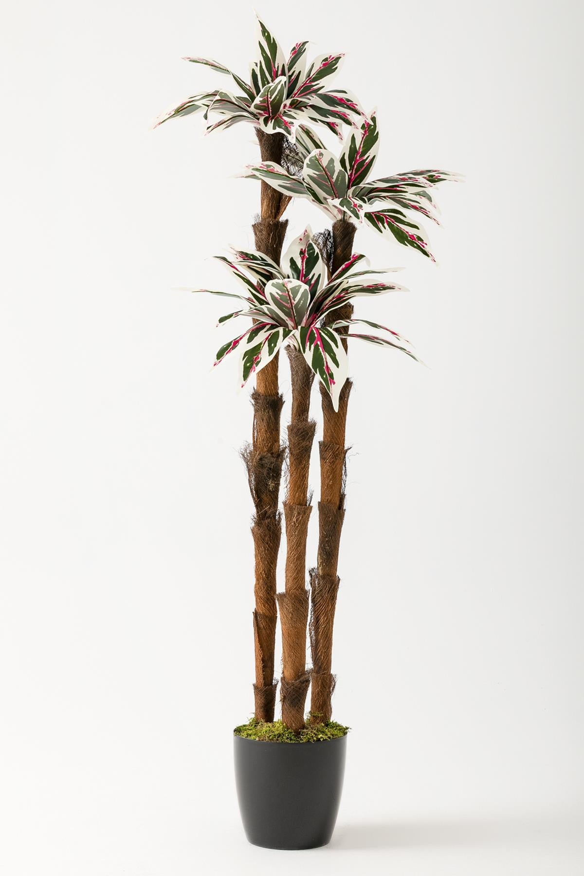 Yapay Kılıç Ağacı 150 Cm 54 Dal Pembe Yeşil