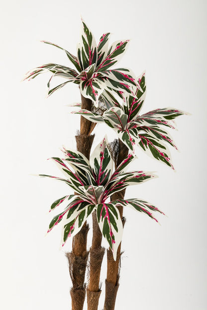 Yapay Kılıç Ağacı 150 Cm 54 Dal Pembe Yeşil