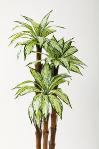 Yapay Kılıç Ağacı 150 Cm 54 Dal Yeşil Beyaz