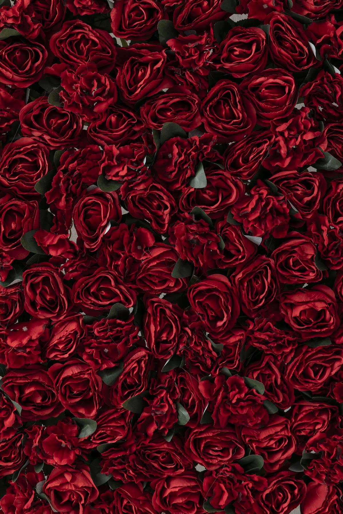 Yapay Kırmızı Gül Duvarı 200X100