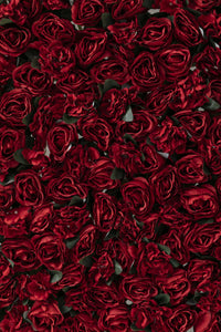 Yapay Kırmızı Gül Duvarı 200X100