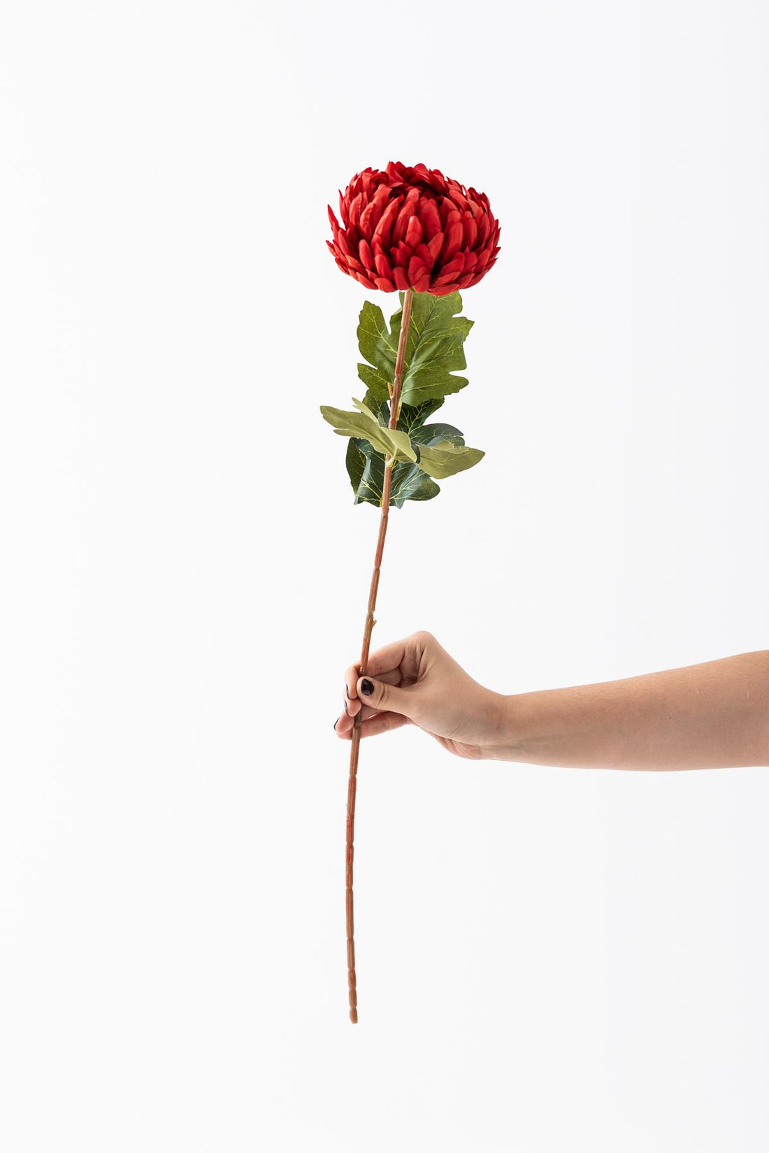 Yapay Krizantem Çiçeği Kırmızı 75 Cm Tek Dal