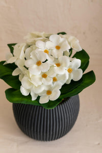 Yapay Defne Demeti 15 Cm Tek Dal