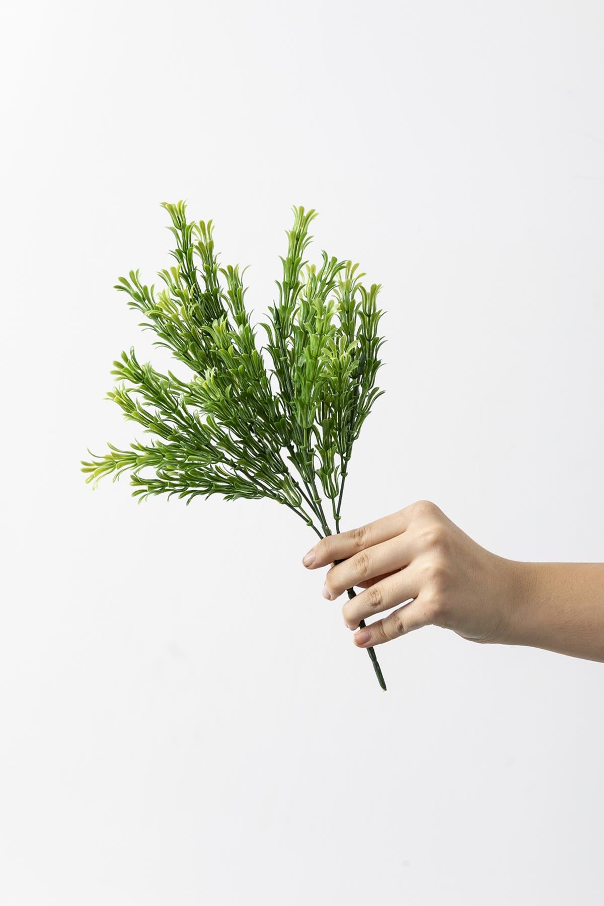 Yapay Latus Demeti Yeşil 35 Cm 5 Dal(Uv)