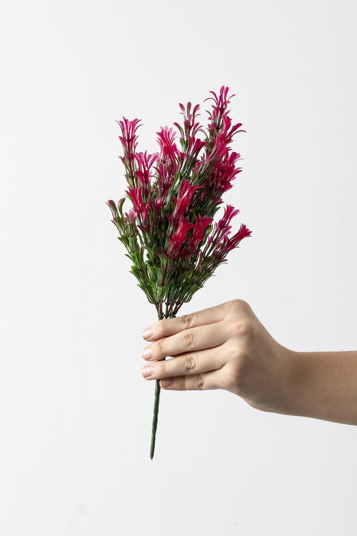 Yapay Latus Demeti Yeşil Pembe 35 Cm 5 Dal(Uv)