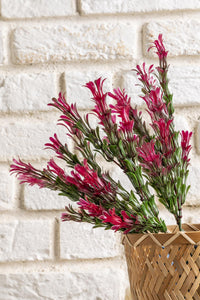 Yapay Latus Demeti Yeşil Pembe 35 Cm 5 Dal(Uv)