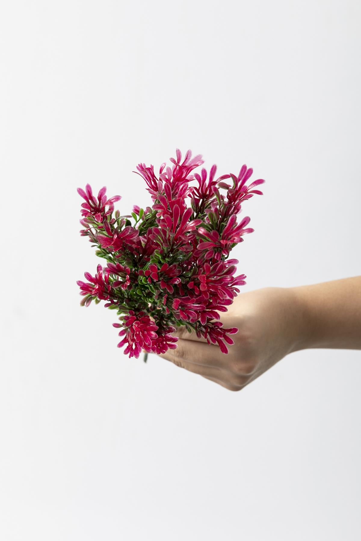 Yapay Latus Demeti Yeşil Pembe 35 Cm 5 Dal(Uv)