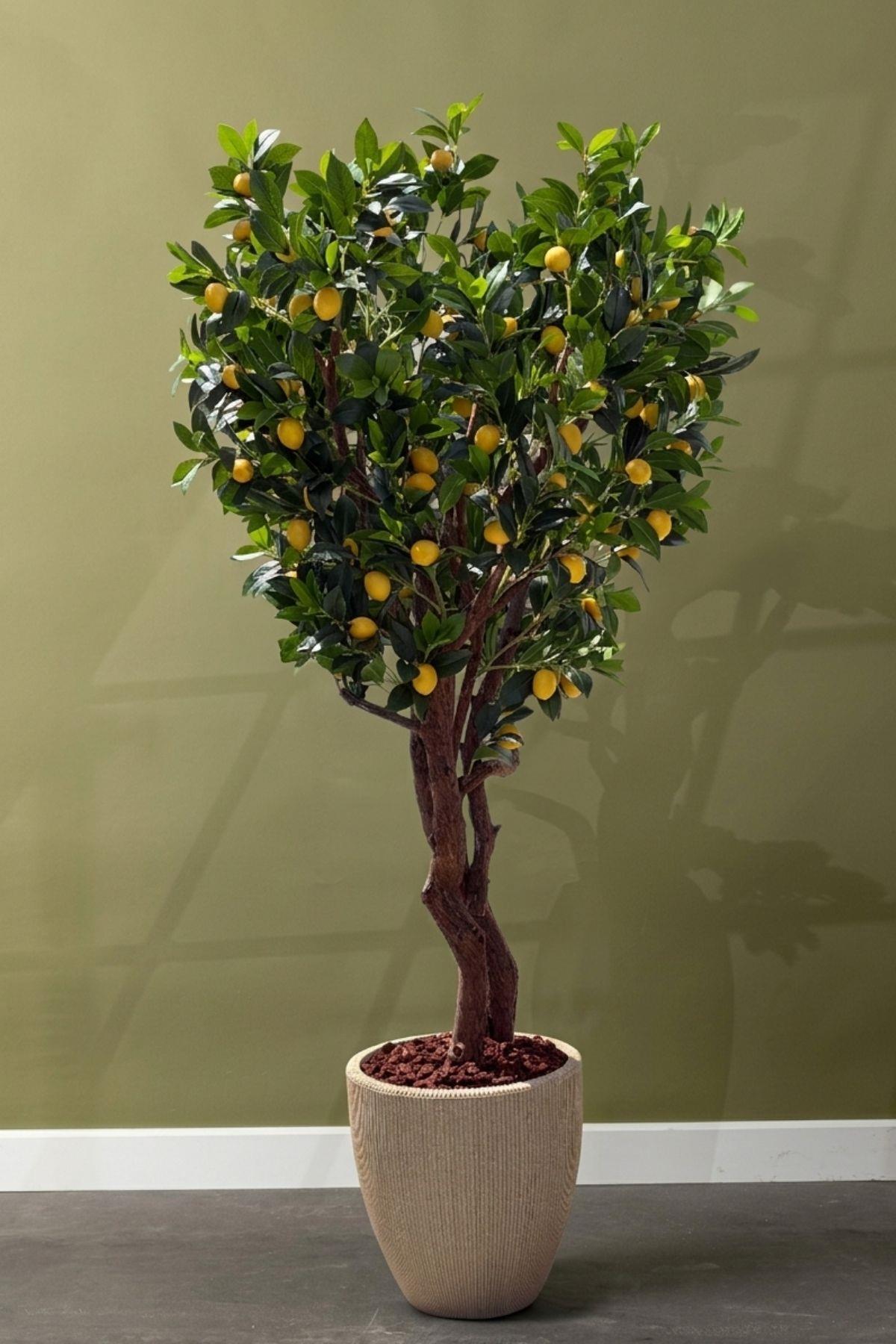 Yapay Premium Limon Ağacı Islak Dokulu 200 Cm 35 Dal