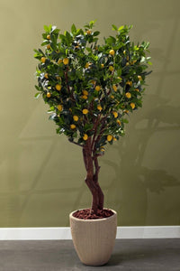 Yapay Premium Limon Ağacı Islak Dokulu 200 Cm 35 Dal