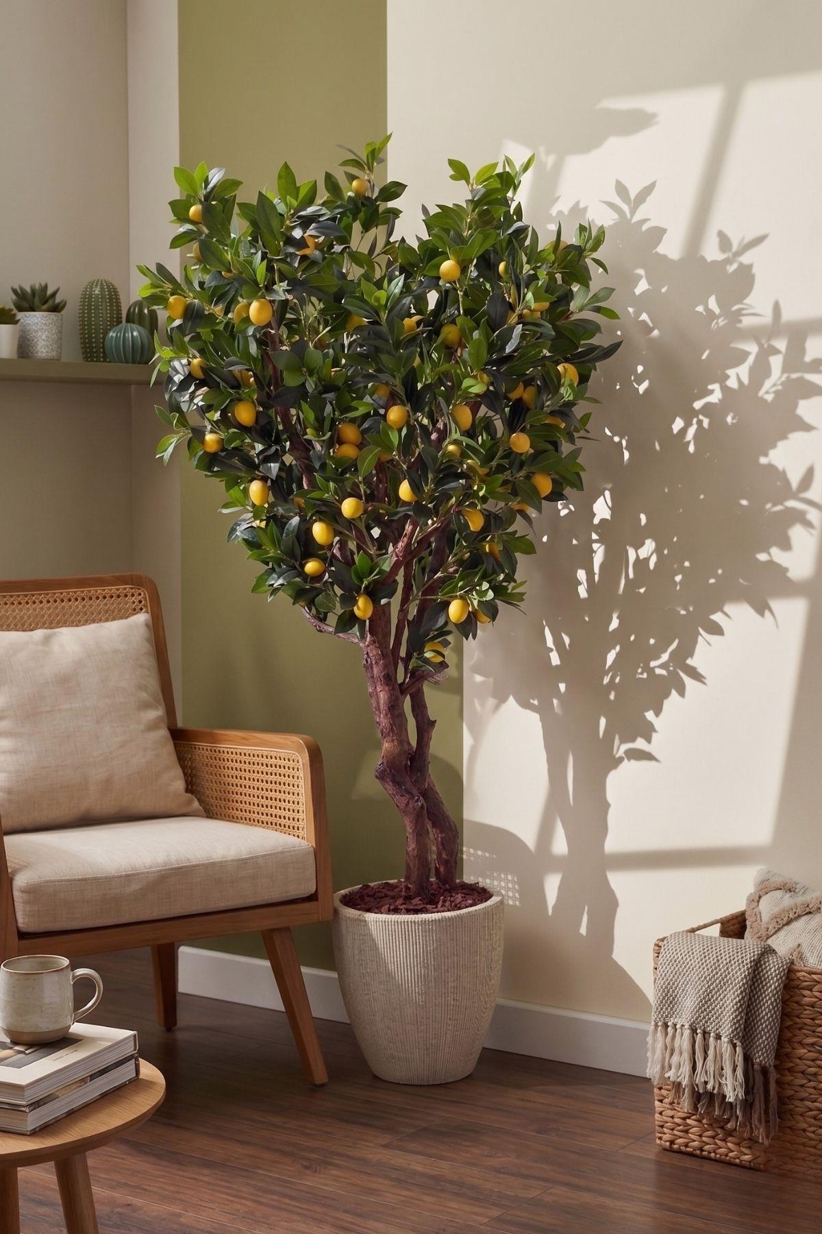 Yapay Premium Limon Ağacı Islak Dokulu 200 Cm 35 Dal