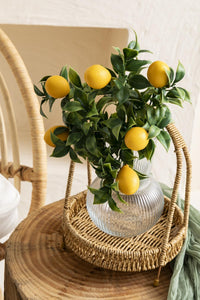 Yapay Limon Demeti Yeşil 35 Cm 5 Dal(Uv)