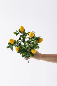 Yapay Limon Demeti Yeşil 35 Cm 5 Dal(Uv)