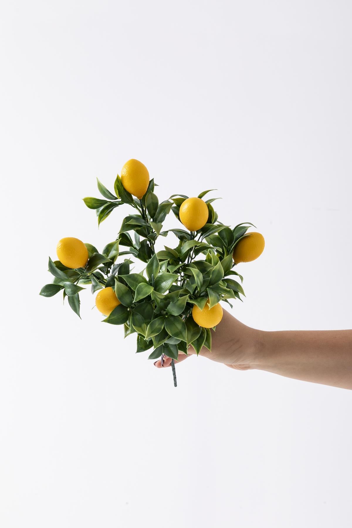 Yapay Limon Demeti Yeşil 35 Cm 5 Dal(Uv)