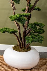 Yapay Lüx Bonsai Ağacı 200 cm 40 Dal