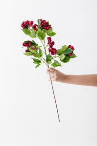 Yapay Lux Menekşe Dalı Bordo 80 cm 5 Yaprak