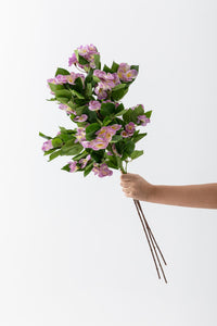 Yapay Lux Menekşe Dalı Lila 80 cm 5 Yaprak