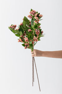 Yapay Lux Menekşe Dalı Pudra Pembe 80 cm 5 Yaprak