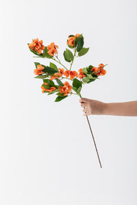 Yapay Lux Menekşe Dalı Somon 80 cm 5 Yaprak