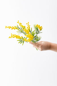 Yapay Mimoza Çiçeği Sarı 40 Cm 7 Dal