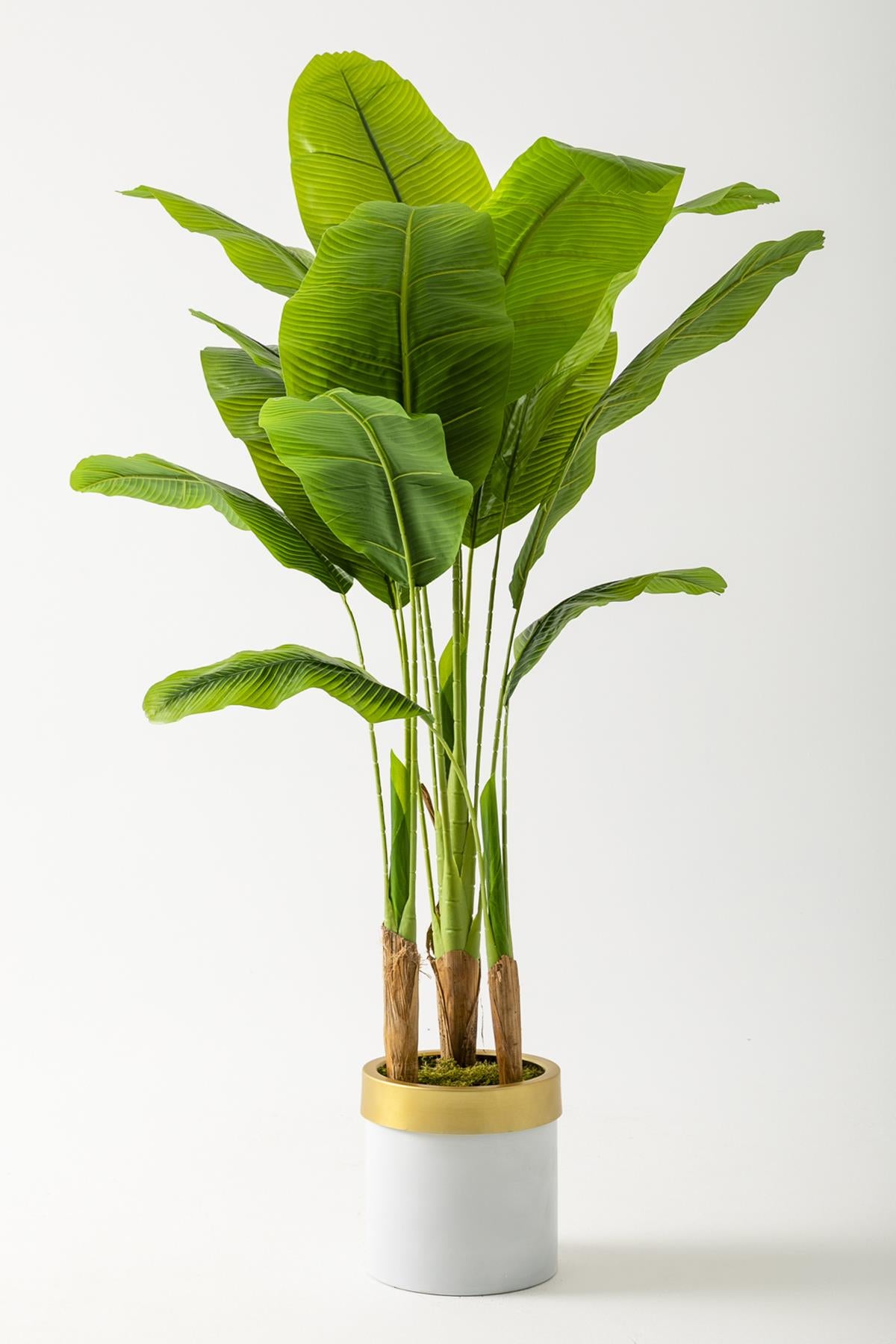 Yapay Muz Ağacı 160 Cm Beyaz Gold Metal Saksı