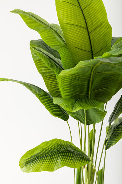 Yapay Muz Ağacı 160 Cm Beyaz Gold Metal Saksı