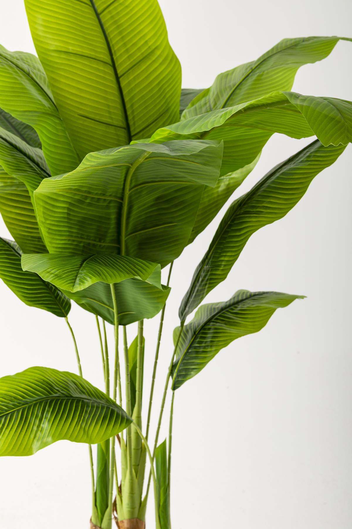 Yapay Muz Ağacı 160 Cm Beyaz Gold Metal Saksı