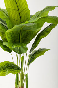 Yapay Muz Ağacı 160 Cm Beyaz Gold Metal Saksı