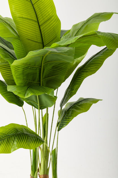 Yapay Muz Ağacı 160 Cm Beyaz Gold Metal Saksı