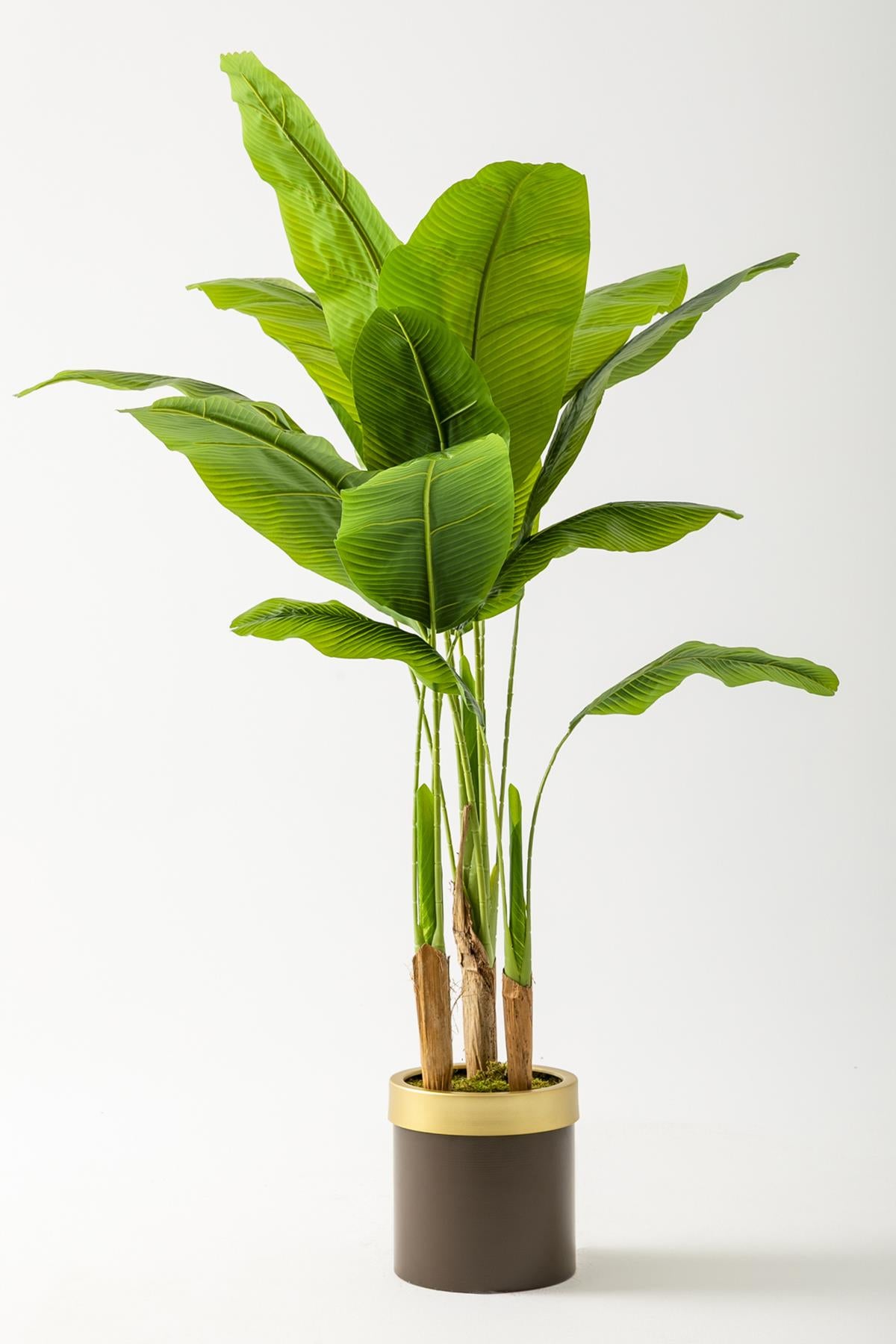 Yapay Muz Ağacı 160 Cm Kahverengi Gold Metal Saksı