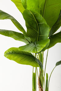 Yapay Muz Ağacı 160 Cm Kahverengi Gold Metal Saksı